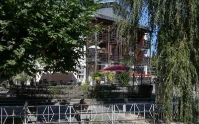 Freiwillige Mitarbeit in der Cafeteria am Mühleplatz